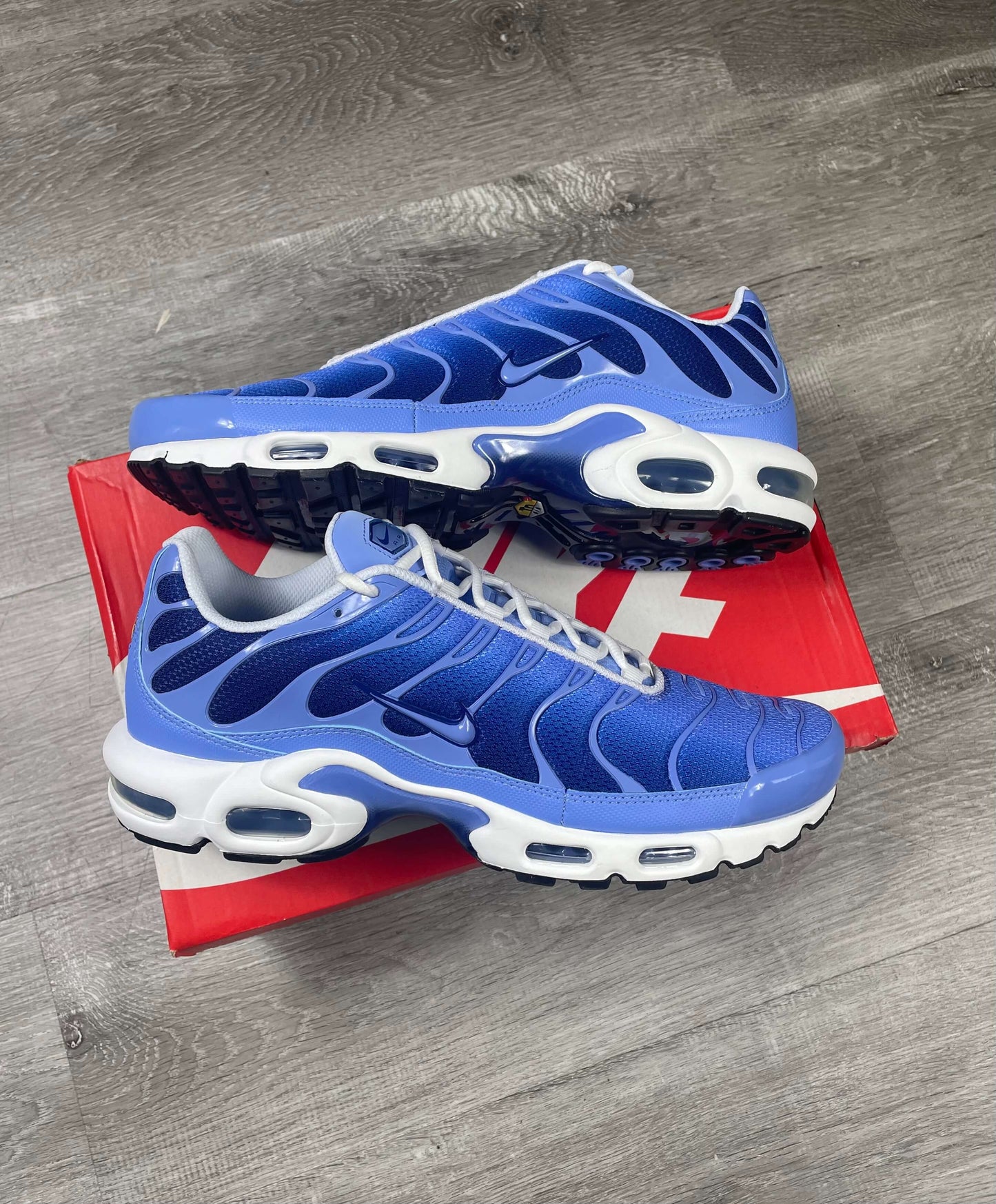 Nike Air Max Plus TN 'Pulse Blue'