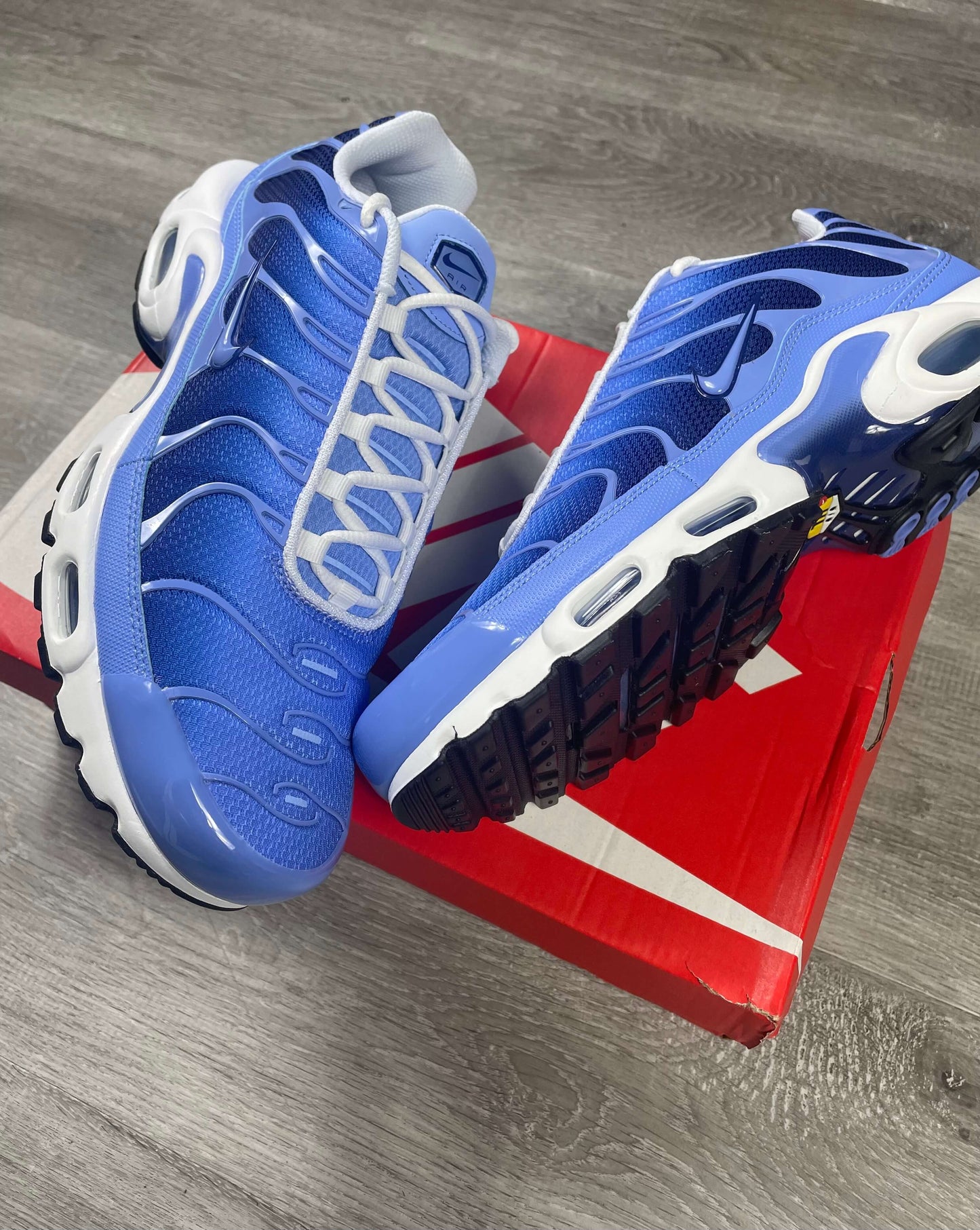 Nike Air Max Plus TN 'Pulse Blue'