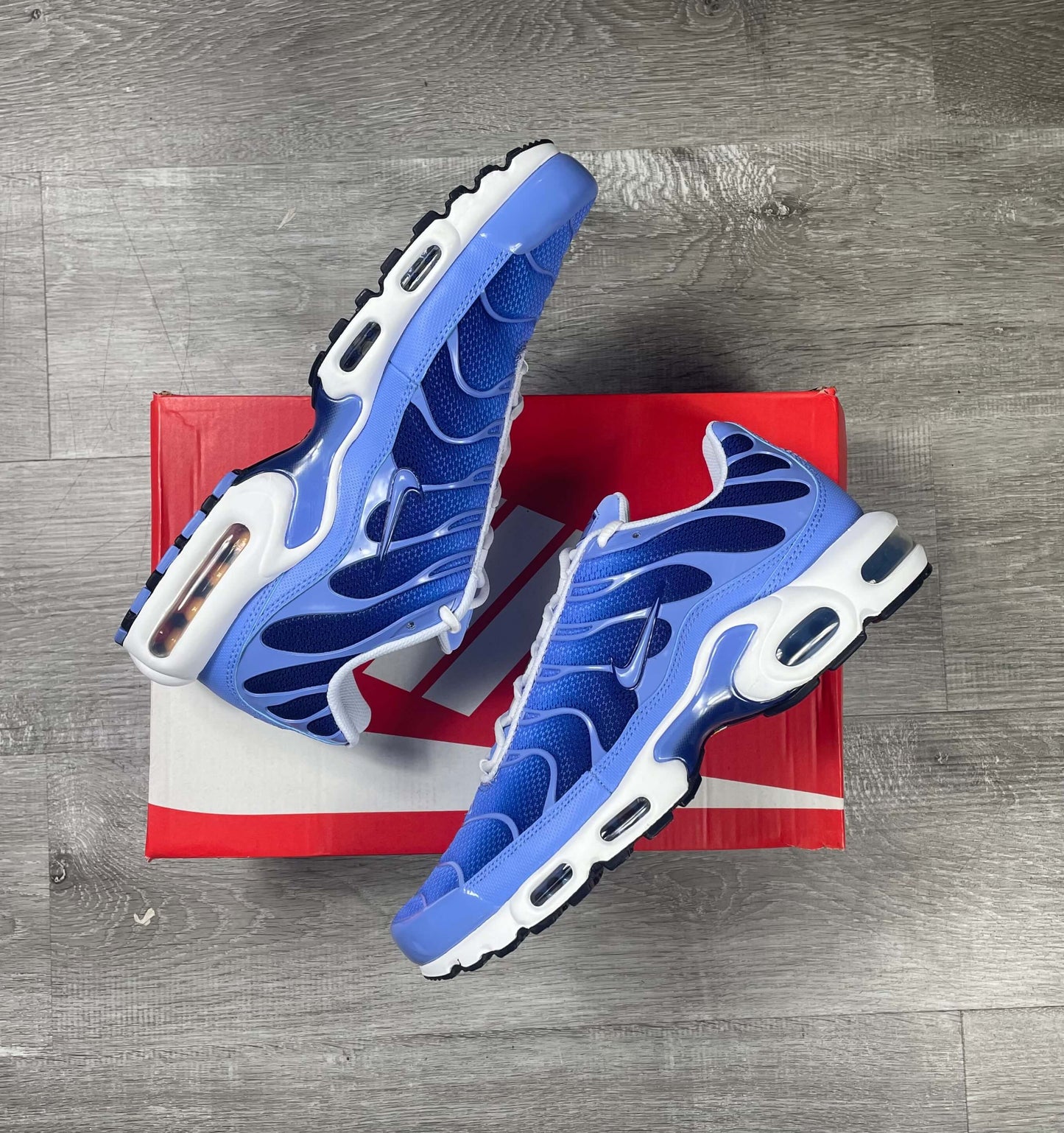 Nike Air Max Plus TN 'Pulse Blue'